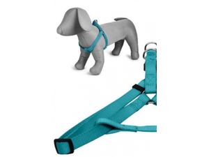 Papillon postroj pro psa Basic nylon tyrkysový 20 mm x 46 - 75 cm