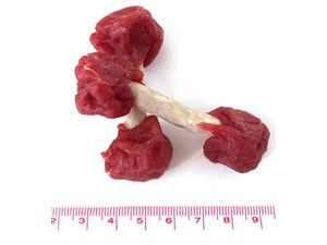 Kost-činka z drcené bůvolí kůže s kachním masem 250 g / dumbelka/