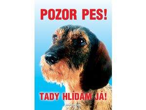 Grel Tabulka pozor pes jezevčík drsnoststý