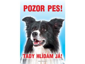 Grel Tabulka pozor pes kolie border
