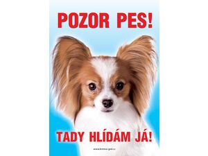 Grel Tabulka pozor pes papillon hnědo-bílý