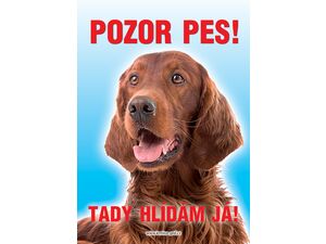 Grel Tabulka pozor pes irský setr