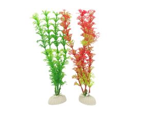 Tatrapet akvarijní rostlina na kartě 15 - 20 cm, mix 1ks červená a1 ks zelená