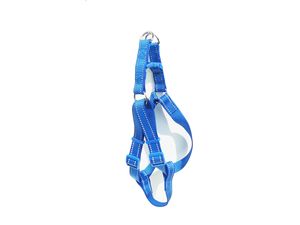 Tatrapet Benny postroj Basic nylon 20 mm x 40 - 60 cm reflexní modrý