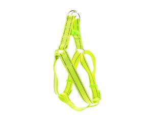 Tatrapet Benny postroj Basic nylon 20 mm x 40 - 60 cm reflexní zářivě zelený