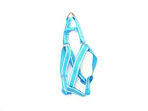 Tatrapet Benny postroj Basic nylon reflexní 25 mm x 50 - 75 cm modrý