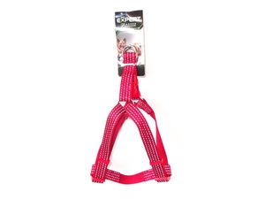 Tatrapet Pet Expert postroj Basic nylon reflexní červený 20 mm x 40 - 60 cm
