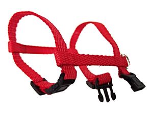 Sedlářství Doležel Postroj pro psa clasik H 1 10mm/11-18/15-25cm nylon červený