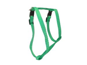 Sedlářství Doležel Postroj pro psa clasik H 2 10mm/14-27/20-37cm nylon zelený