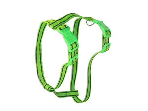 Sedlářství Doležel Postroj pro psa clasik H 5 25mm/46-52/ 46-70cm nylon zelený s černým páskem