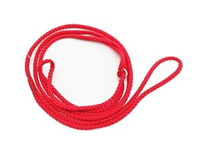Předváděcí vodítko průměr 4 mm/150 cm červené
