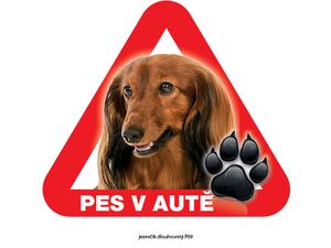 Grel nálepka na sklo pozor pes v autě jezevčík dlouhosrstý