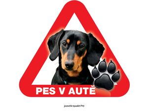 Grel nálepka na sklo pozor pes v autě jezevčík trpasličí