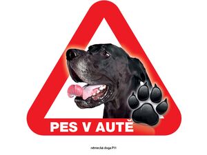 Grel nálepka na sklo pozor pes v autě německá doga