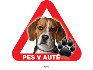 Grel nálepka na plech pozor pes v autě bígl