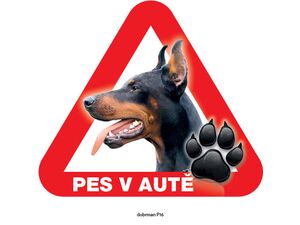 Grel nálepka na plech pozor pes v autě dobrman