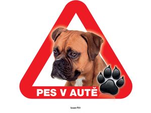 Grel nálepka na plech pozor pes v autě boxer