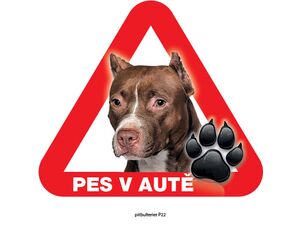 Grel nálepka na sklo pozor pes v autě pitbulteriér