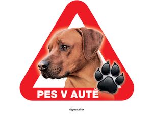 Grel nálepka na plech pozor pes v autě ridgeback