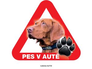 Grel nálepka na plech pozor pes v autě maďarský ohař