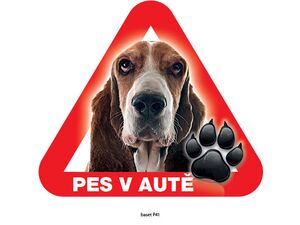 Grel nálepka na sklo pozor pes v autě baset