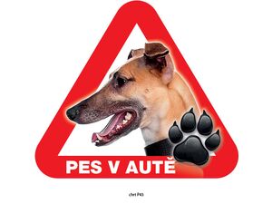 Grel nálepka na sklo pozor pes v autě chrt