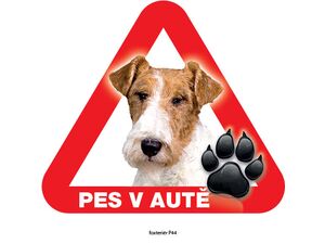 Grel nálepka na sklo pozor pes v autě foxteriér