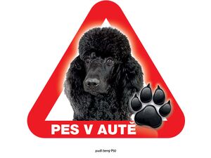 Grel nálepka na sklo pozor pes v autě pudl černý