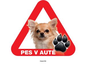 Grel nálepka na sklo pozor pes v autě čivava