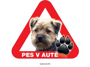 Grel nálepka na sklo pozor pes v autě border teriér