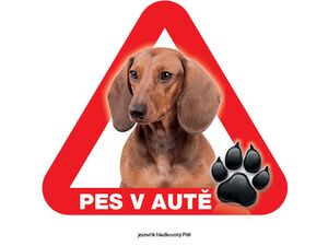 Grel nálepka na plech pozor pes v autě jezevčík hladkosrstý