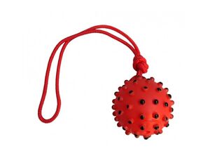 Tatrapet hračka pro psa míček s výstupky na šňůře 40 cm , průměr 8,5 cm, vinyl, červená