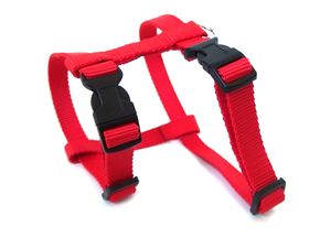 Sedlářství Doležel Postroj pro psa clasik H 4 20mm/24-42-34-55cm nylon červený