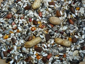 Avicentra Special velký papoušek 20kg 254
