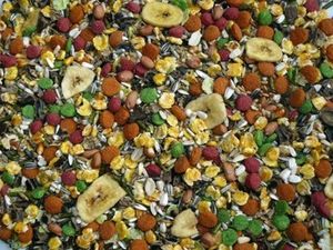 Avicentra Special malý hlodavec 25 kg 265